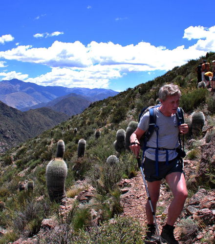 Foto de Trekking de iniciación en Potrerillos