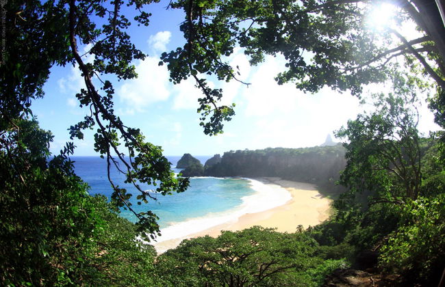 Trilha pelos mirantes de Fernando de Noronha - Foto 3