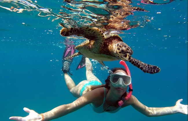Trilha pelos mirantes de Fernando de Noronha - Foto 2
