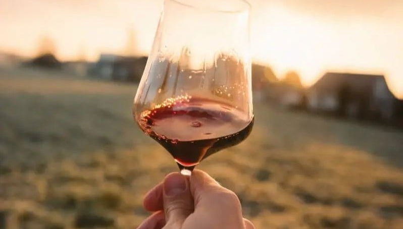 Tour dei vigneti di Aguascalientes - Foto 1