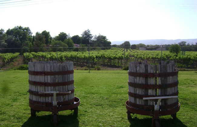 Aguascalientes Vineyards Tour - Photo 1