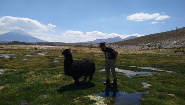 Excursão às montanhas coloridas de Suriplaza - Foto 4