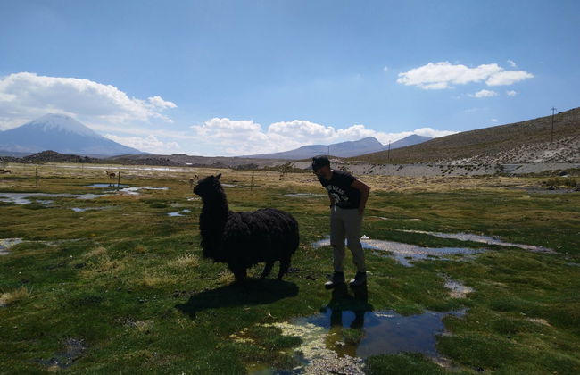 Excursão às montanhas coloridas de Suriplaza - Foto 4