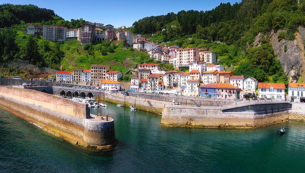 Balade en bateau sur la côte de Urdaibai - Photo 5