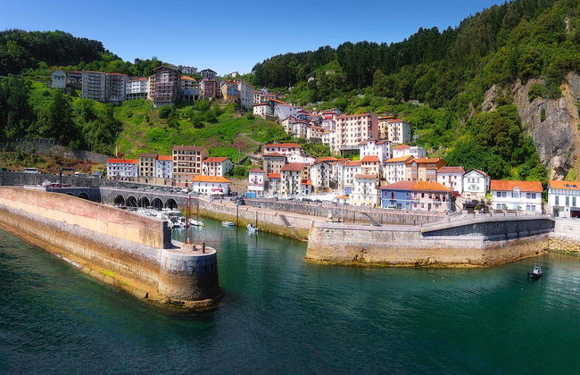 Passeio de barco pela costa de Urdaibai - Foto 5