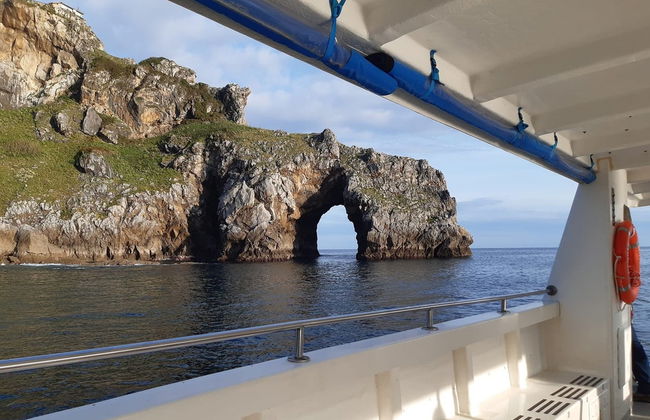 Paseo en barco por la costa de Urdaibai - Foto 2