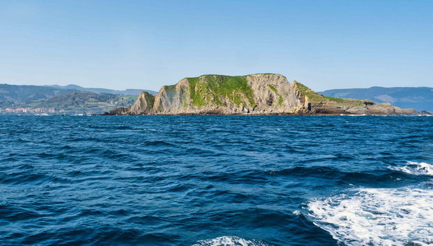 Balade en bateau sur la côte de Urdaibai - Photo 4
