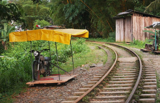 Excursion dans la Réserve naturelle de San Cipriano - Photo 5