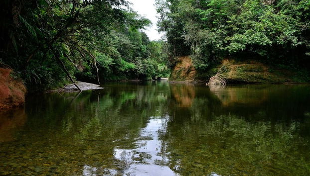 Excursão à Reserva Natural San Cipriano - Foto 2
