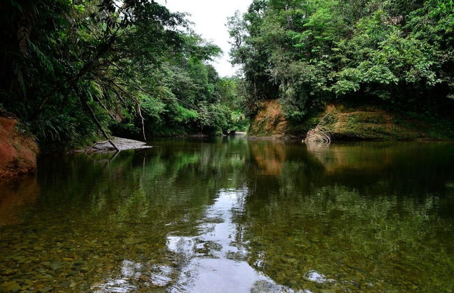 Excursion dans la Réserve naturelle de San Cipriano - Photo 2