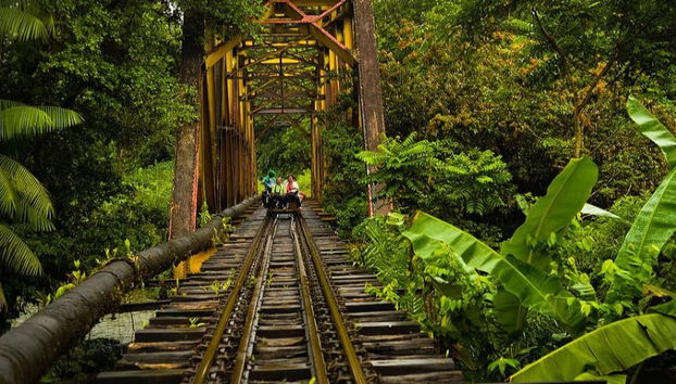 Excursão à Reserva Natural San Cipriano - Foto 3