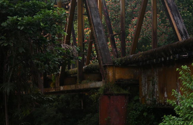Excursion dans la Réserve naturelle de San Cipriano - Photo 6