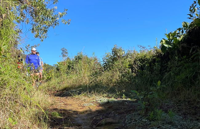 Tour en 4x4 por Jardín - Foto 4