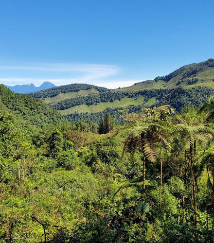 Foto de Tour en 4x4 por Jardín