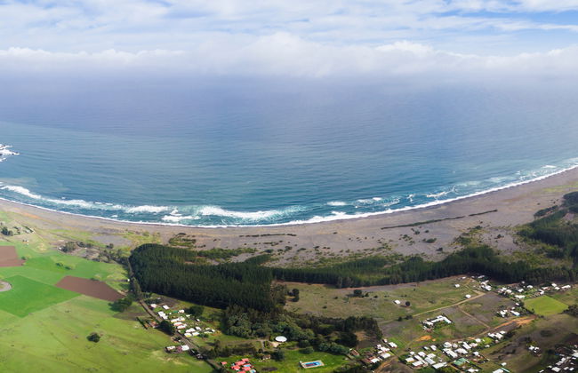 Tour privado por la costa del Gran Concepción - Foto 7