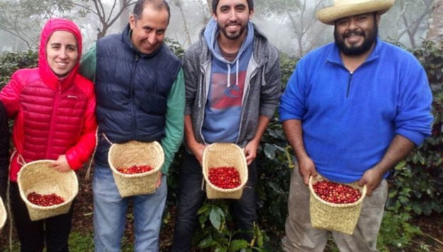 Coffee Tour of Coatepec - Foto 2