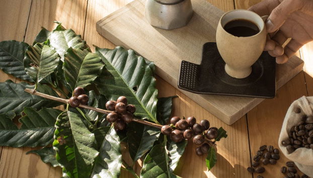 Coffee Tour of Coatepec - Foto 4