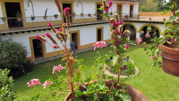 Xalapa, Xico & Coatepec Tour - Foto 2