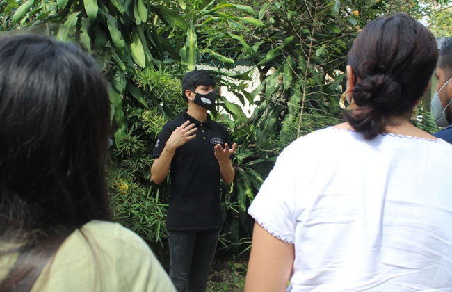 Excursión a Xalapa, Xico y Coatepec - Foto 7