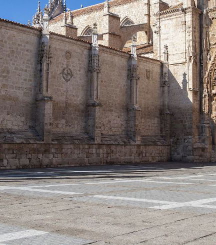 Foto de Visita guiada por Palencia