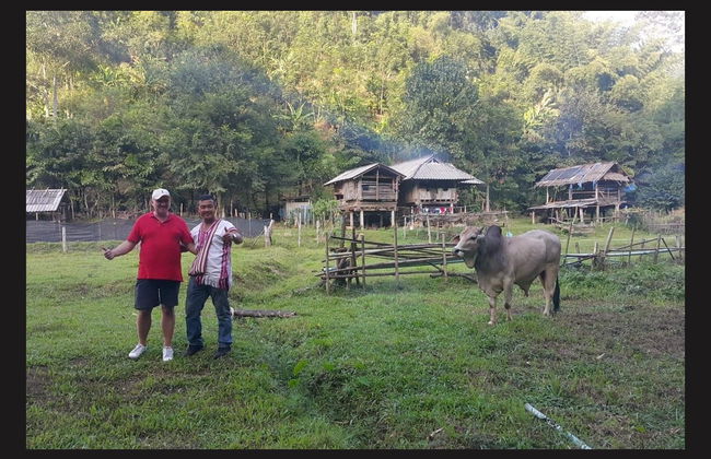 Chiang Rai Buggy Tour - Photo 4