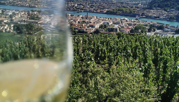 Tour de viñedos y bodegas por el valle del Ródano - Foto 2