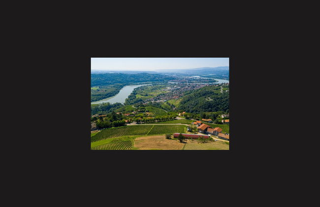 Excursion à la découverte des vins de la Vallée du Rhône - Photo 4