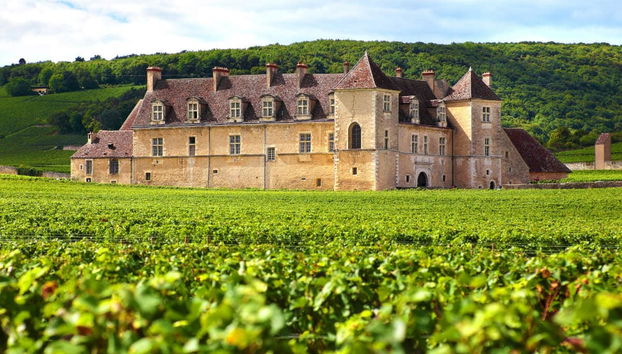 Burgundy Wine Tour - Photo 2
