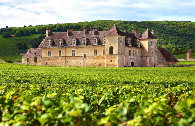 Burgundy Wine Tour - Photo 2