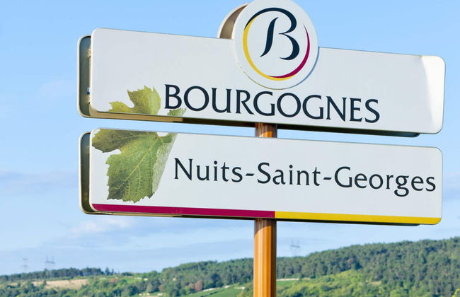 Burgundy Wine Tour - Photo 6