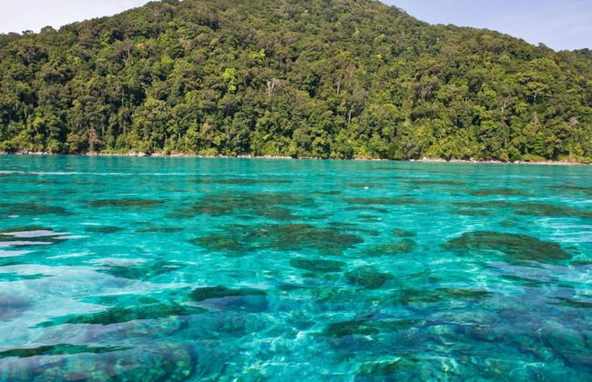 Surin Islands Speedboat Tour - Photo 2