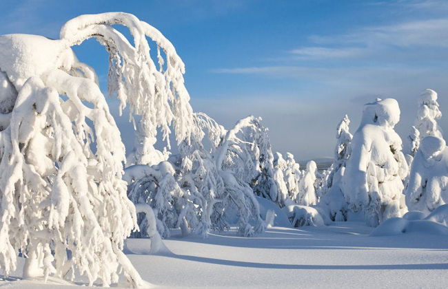 Curso de sobrevivência no Parque Nacional Pyhä-Luosto - Foto 8