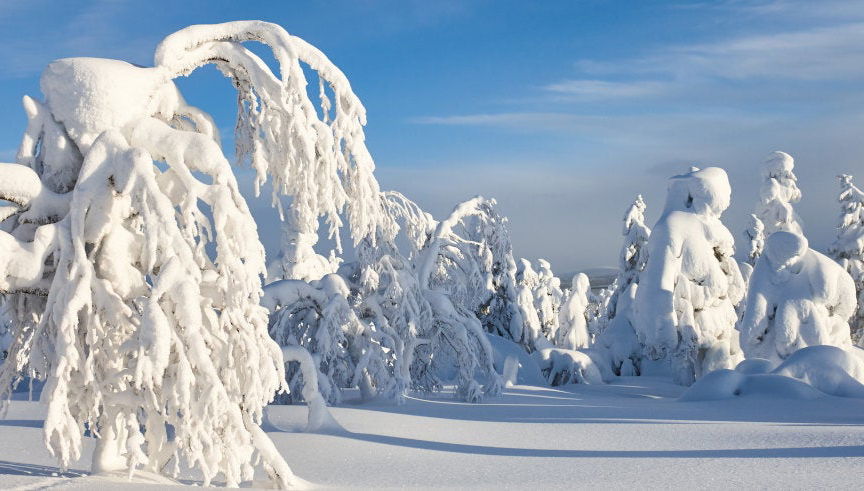 Pyhä Survival Course