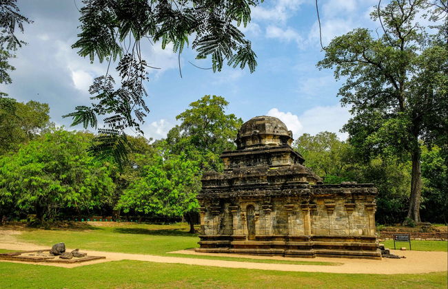 Sigiriya, Polonnaruwa & Madrigiriya Private Excursion - Foto 2