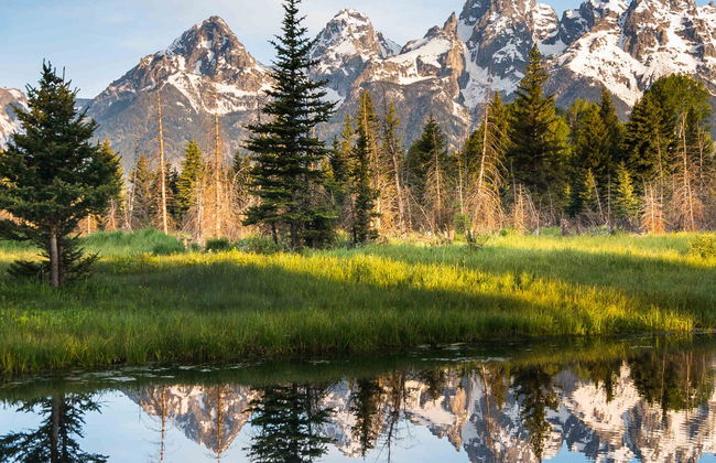 Tour de 4 días por Yellowstone y Grand Teton - Foto 4