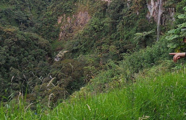Senderismo por el cañón del Combeima + Finca La Rivera - Foto 8