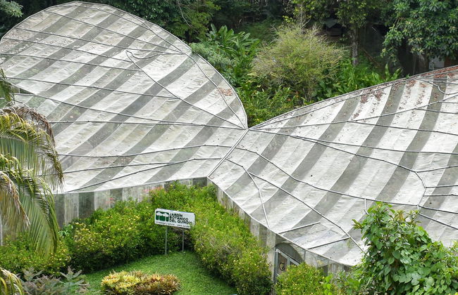 Tour pelo Jardim Botânico do Quindío - Foto 7