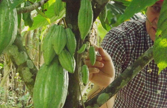 Visita a la granja de Mamá Lulú - Foto 3