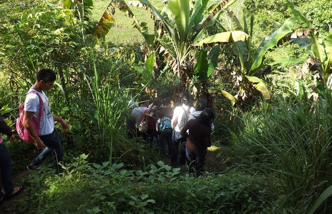 Visita a la granja de Mamá Lulú - Foto 2