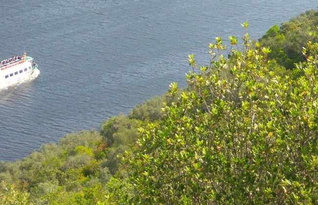 Paseo en barco por el río Alagón - Foto 4