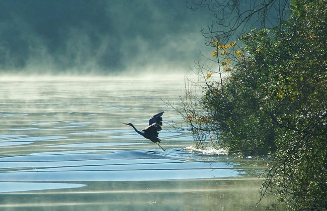Paseo en barco por el río Alagón - Foto 1