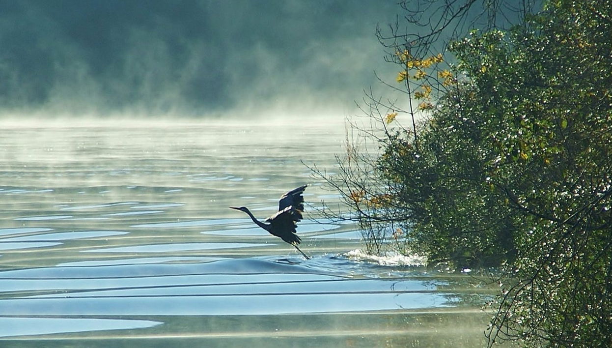 Paseo en barco por el río Alagón - Foto 1