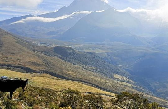 Ruta privada de trekking de 4 días por el Nevado del Tolima - Foto 6
