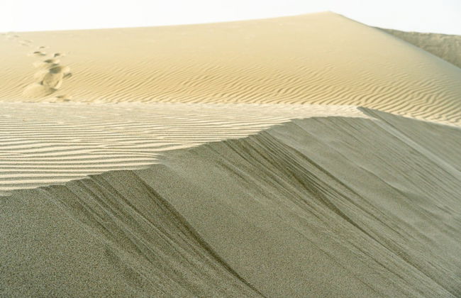 Escursione al Parco Regionale Lomas de Arena - Foto 2