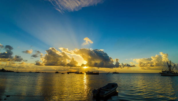 Paseo en barco al amanecer - Foto 3