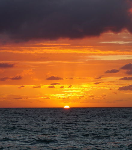 Foto de Paseo en velero al amanecer