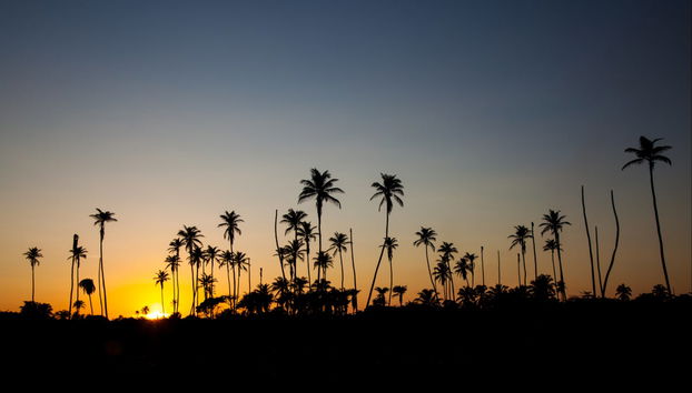 Paseo en barco al amanecer - Foto 2