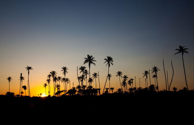 Passeio de barco ao amanhecer - Foto 2
