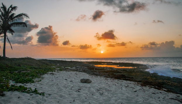 Paseo en barco al amanecer - Foto 5