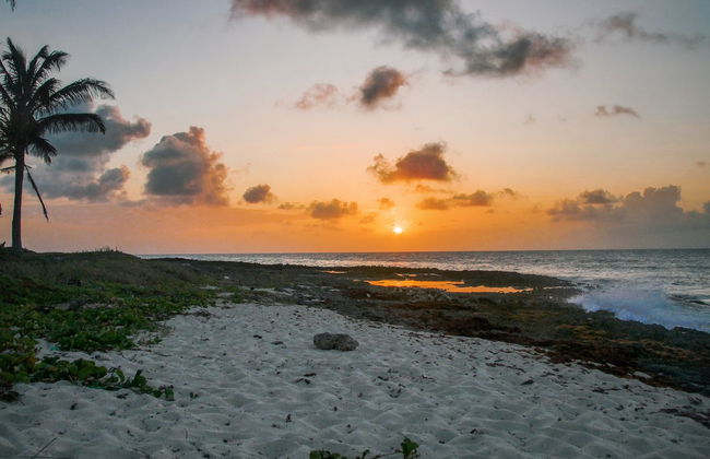 Passeio de barco ao amanhecer - Foto 5